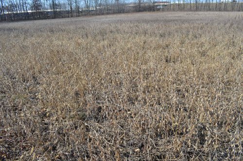 Property photo 1 - East Allen County - 55 Acre Land Auction